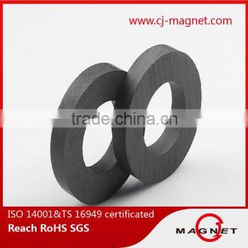 Big ring ferrite magnet for car audio