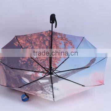 Auto Open and Colse Windproof Umbrella With Digital Printing Umbrella Quality Choice photo-6