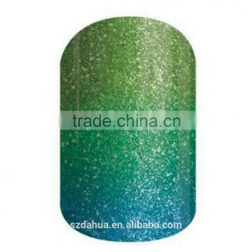 DAHUA nail art decoration nail acrylic powder nail glitter powder