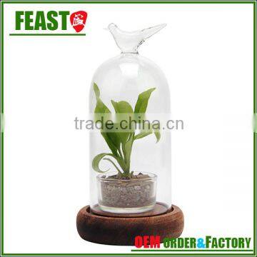 High Borocilicate Clear Glass Bell Jar With Wooden Base Bell Jar