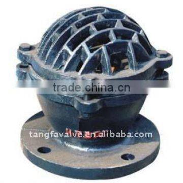 cast iron flange foot valve