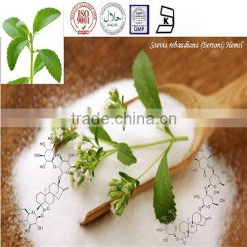 Organic and GMP Certified stevia extract for coffee