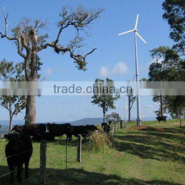 3kw eolic generator maglev generator vertical axis wind turbine