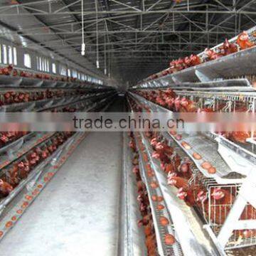 LAYER CAGES A TYPE BREEDING SYSTEM