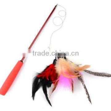 16Years Factory Pet Cat Catcher Feathers Teaser