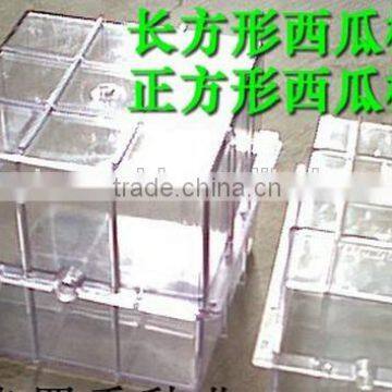 supply Hot sale square watermelon transparent plastic box mold CHINA