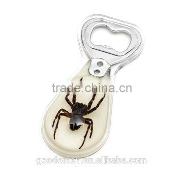 Selling acrylic Wine Opener/beer insect opener/wine bottle opener