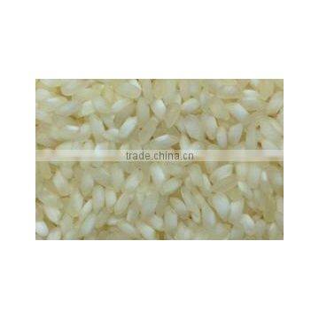 White Rice