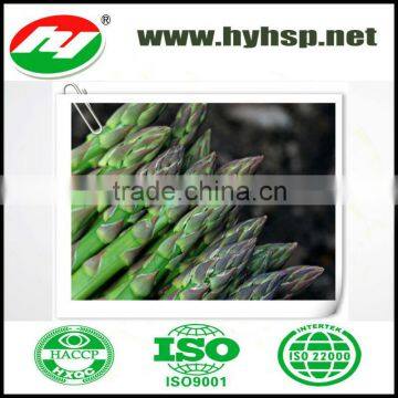 Hot Selling Green Asparagus Fresh Steamed Asparagus