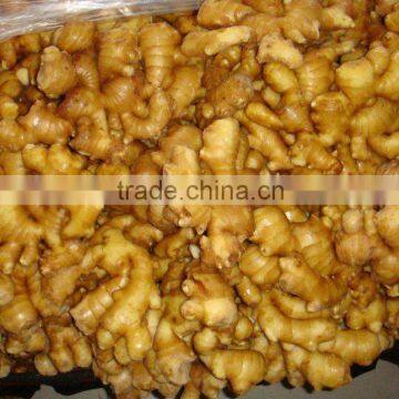 yellow color fresh ginger for sale in china