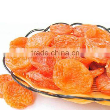 China factory supply great dried apricot