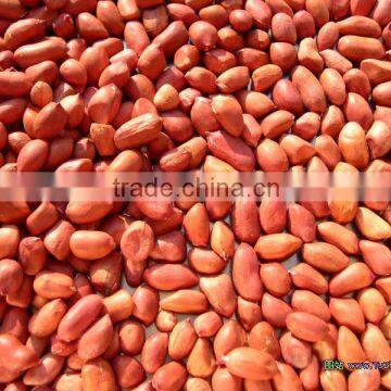peanut kernels