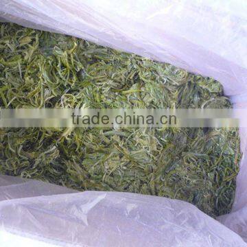 Frozen Wakame Stem Cut Salted for Seaweed Salad (hiyashi Wakame) photo-4