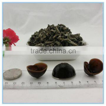 Chinese food air dried organic auricularia auricula extract frozen tree ear black fungus