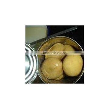 Canned Mushrooms