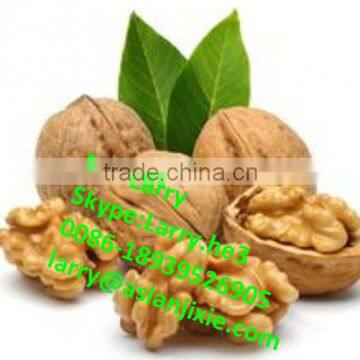 Nut Size Sorting Machine/walnut Size Grader/walnut Size Sorter photo-5