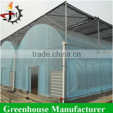 Hot Sale Discount Economical Multi-span Greenhouses