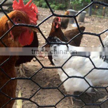 PVC Coated Hexagonal Chicken Wire Mesh Netting photo-6