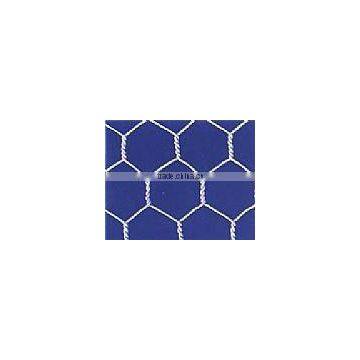 Hexagonal Wire Mesh