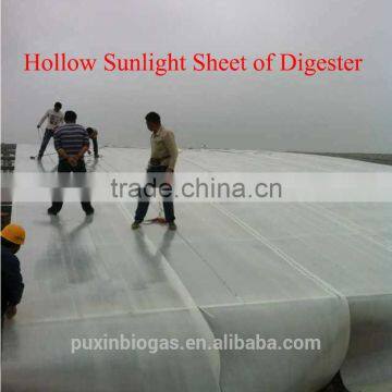 Large Biogas System to Convert Farm Waste Into Electricity