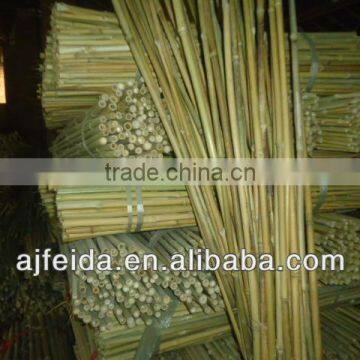 FD06-yellow decorative tonkin bamboo poles