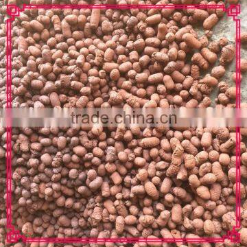 Soilless agriculture plants growing media expanded clay pebbles