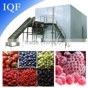 Green Peas Quick Freezing Machine IQF Vegetable Freezer