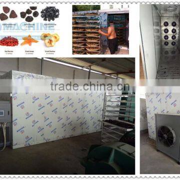 High Capacity Vacuum Dryer Fruit and Vegetables Dates Herbs and Meet photo-2