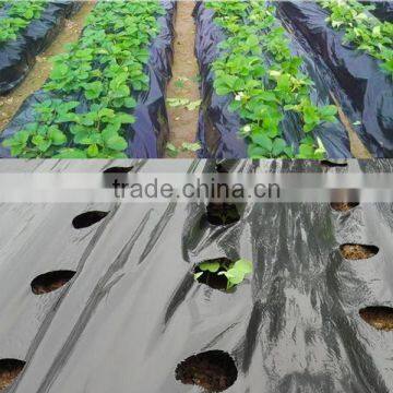 Perforated Black Agricultural Mulch Film for Weed Control Membrane photo-2