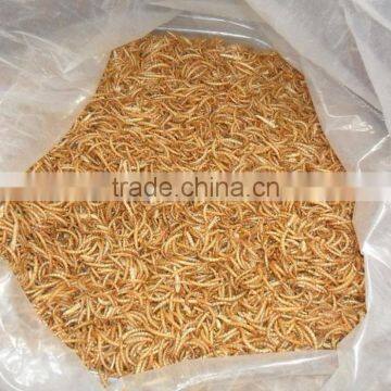 FDA Pet Food Suppliers High Protein Mealworm For Bird Food photo-3