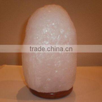 Crafted Himalayan Crystal Rock Salt White Lamp