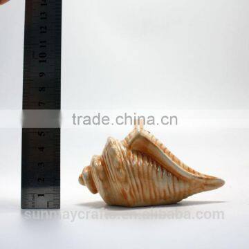 OEM Hot Sale Wholesale Ceramic Conch Souvenir for Sale photo-6