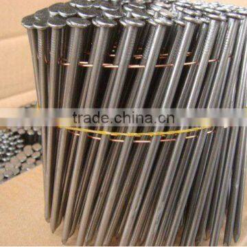 Galvanized common iron nail