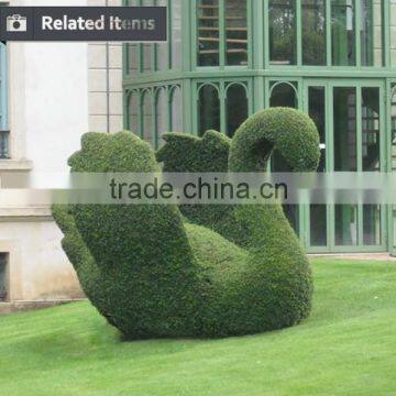 Hot Sale New Design Artificial Milan Grass Animal Boxwood for Decoration photo-5
