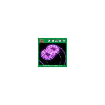 IP65 Waterproof Flexible LED Strip Lighting