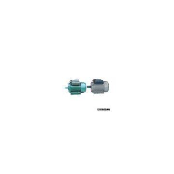 Single Phase Double Capacitor Motors