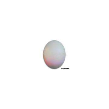 Sell Plastic Egg Toy