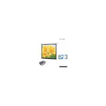 Sell Electric Screen