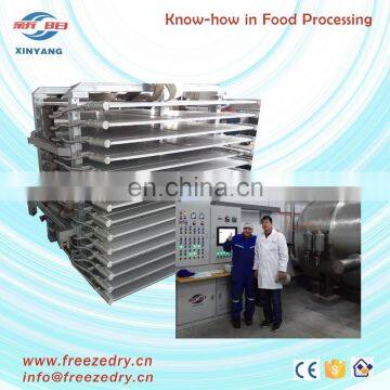 Mini Vacuum Freeze Dryer for Sea Cucumber, Sea Food Freeze Dryer Sale of Mini Freeze Dryer photo-3
