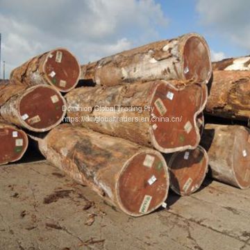 Doussie squared logs in bulk sale