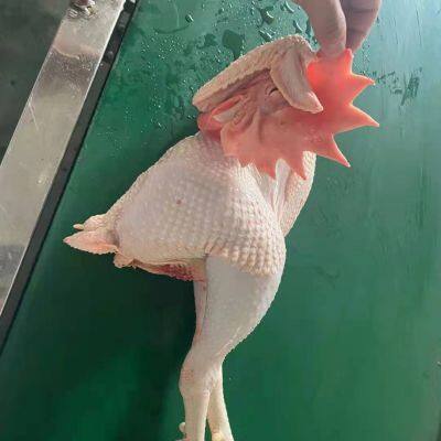 Frozen Whole Sanhuang Chicken Competitive Low Price High Quality