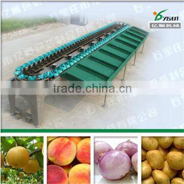 Mango fruit grading machine/fruit sorting machine