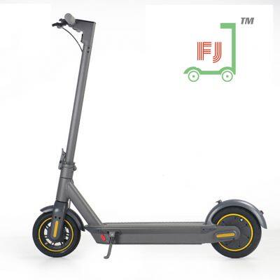 FERRARJ.COM  ELECTRIC scooter 10inch 12AH 40-45KMS BATTERY DRIVE RANGE  China OEM FACTORY e scooters