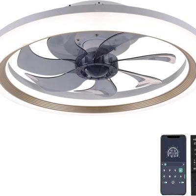 Low Profit Bedroom Ceiling Fan Light With Remote Controller photo-5