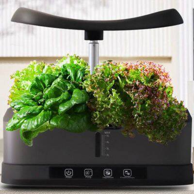 Cross - Border Amazon Smart Hydroponic Planter for Flower Sowing, Soilless Indoor Vegetable 12 - Hole Plant Growth Machine photo-2