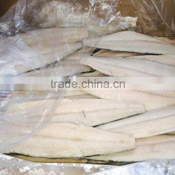 IQF spanish mackerel fillet Grade A