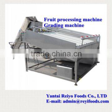 Cherry Grading Machine / Cherry/tomato Grading Machine photo-3