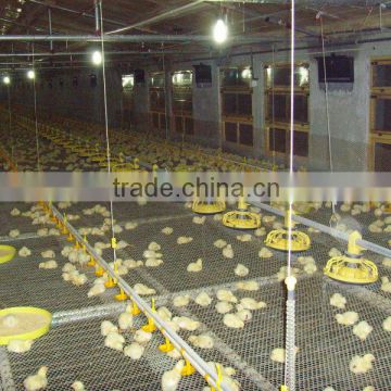 steel structure Automatic poultry broiler shed egg layer chicken farm