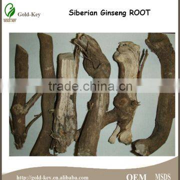 100% Natural Siberian Ginseng Extract,Siberian Ginseng Extract 0.8%/1.2% Eleutheroside B+E,0.8%/1.2% Eleutheroside B+E' photo-2