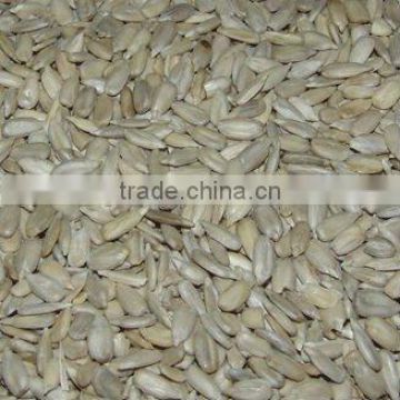 Sunflower seed kernels